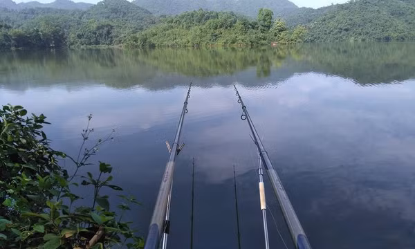 Chóp Dù - Điểm đến thơ mộng nơi ngàn xanh Yên Bái