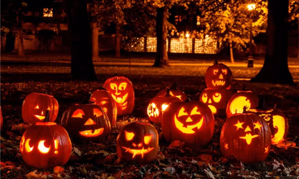 Vì sao quả bí ngô thành biểu tượng của lễ hội Halloween?