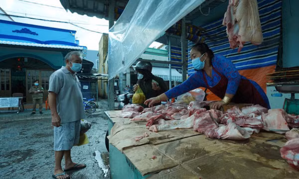 Giá lợn hơi tăng trở lại mốc 50.000 đồng/kg sau khi giảm “sốc”