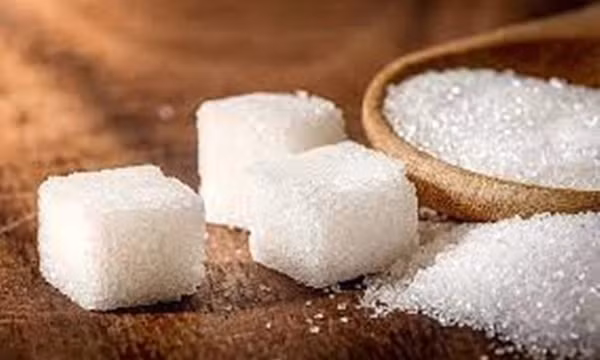 Người bị rối loạn mỡ máu nên ăn gì, kiêng gì?