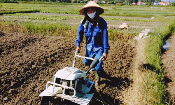TX Quảng Yên: Chuẩn bị tốt cho sản xuất vụ đông 