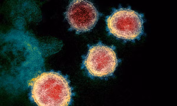 Biến thể virus corona 'có thể làm giảm hiệu quả vắc xin' xuất hiện rồi tuyệt chủng?
