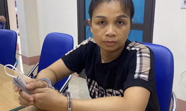 Bắt nữ quái gây ra 2 vụ trộm trong trụ sở cơ quan nhà nước
