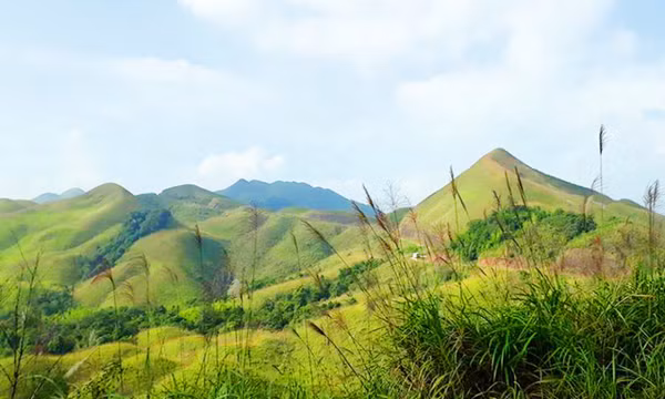 Mùa cỏ lau ở Bình Liêu