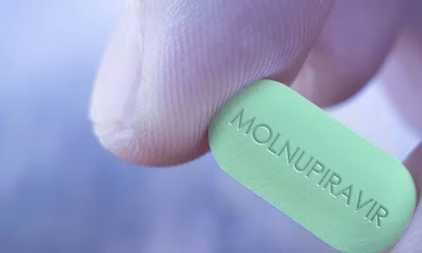 Virus nCov có thể kháng thuốc molnupiravir