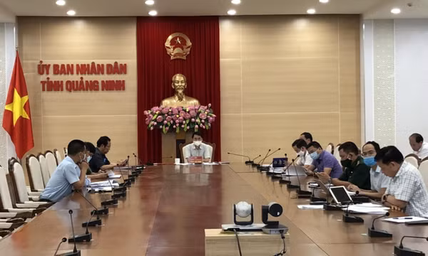 Triển khai giải pháp quản lý, khai thác, bảo vệ và phát triển nguồn lợi thủy sản