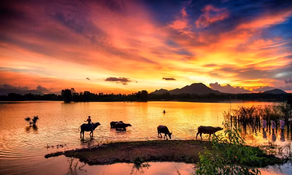 Mùa nước nổi ở An Giang