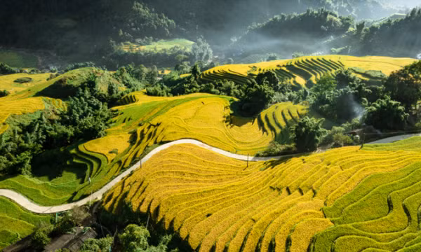 Việt Nam vào top điểm đến tháng 10