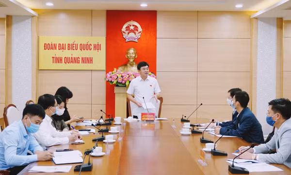 Đoàn Đại biểu Quốc hội tỉnh làm việc với Công ty Nhiệt điện Mông Dương