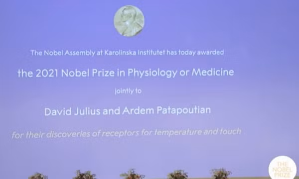 Hai nhà khoa học được vinh danh với giải Nobel Y Sinh 2021