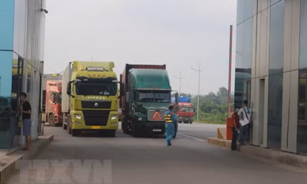 Thông tin gấp với doanh nghiệp xuất khẩu thực phẩm vào Trung Quốc