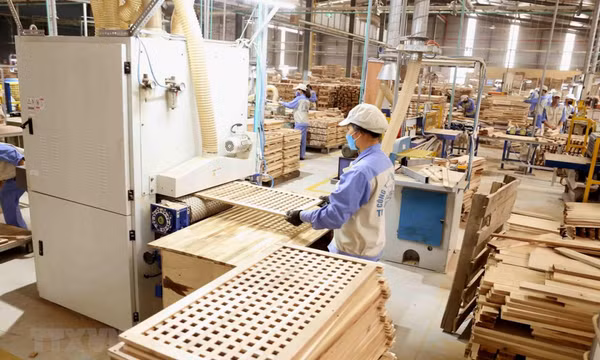 Việt Nam-Mỹ hợp tác kiểm soát khai thác, thương mại gỗ bất hợp pháp