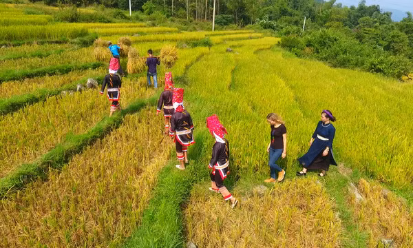 Trải nghiệm văn hóa người Dao tại Bình Liêu