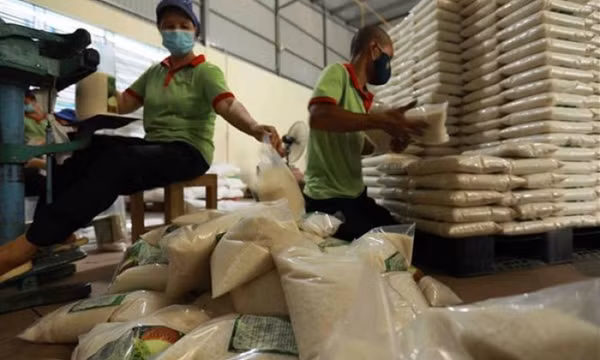 Nhãn hiệu Gạo Việt Nam được bảo hộ tại 22 quốc gia trên thế giới