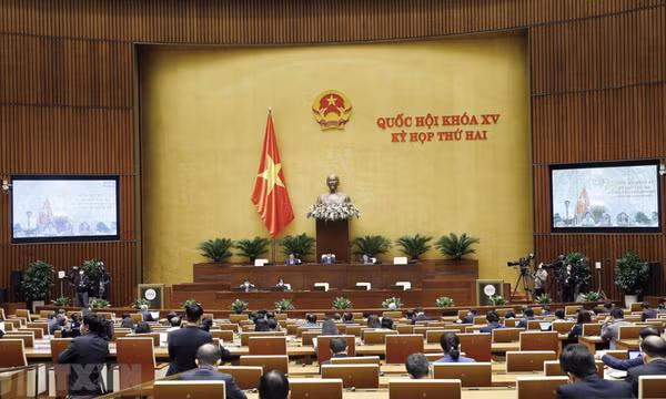 Thông cáo báo chí số 5, Kỳ họp thứ 2, Quốc hội khóa XV