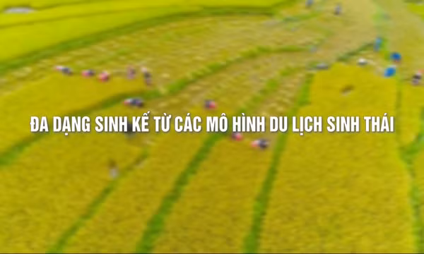Đa dạng sinh kế từ các mô hình du lịch sinh thái