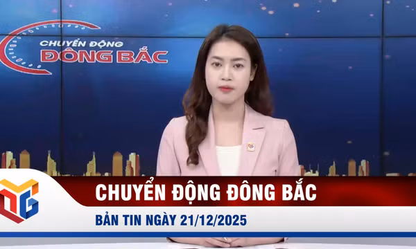 Chuyển động Đông Bắc ngày 21/12/2025