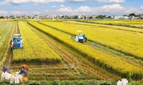 Tạo động lực, nền tảng để phát triển tam nông