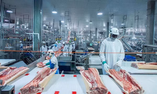 Giá lợn hơi giảm sâu kỷ lục, Việt Nam vẫn ồ ạt nhập thịt ngoại