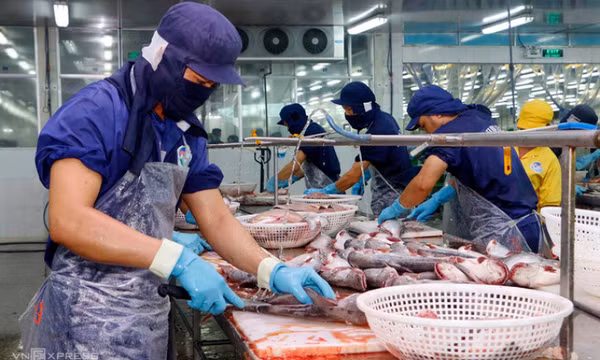 Sản xuất nông nghiệp tại 19 tỉnh phía Nam gặp khó