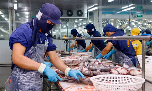 VASEP lo ngại đổ vỡ chuỗi sản xuất, xuất khẩu thuỷ sản