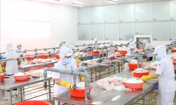 Tháo gỡ thủ tục hành chính cho doanh nghiệp nông nghiệp