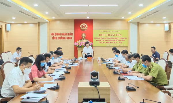 Thẩm tra báo cáo, dự thảo nghị quyết trong lĩnh vực Kinh tế - Ngân sách