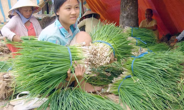Tập trung gỡ khó, bảo đảm sản xuất nông nghiệp ở các tỉnh Nam Bộ
