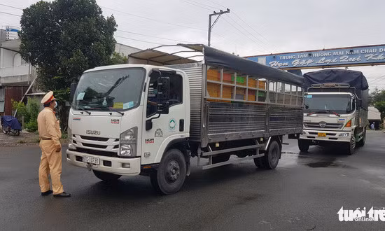 Tạm đình chỉ bí thư và phó chủ tịch xã 15 ngày vì lơ là phòng dịch