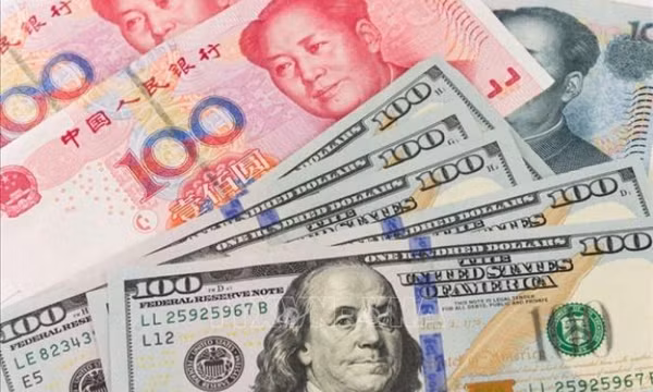 Tỷ giá trung tâm sáng 13/8 giảm 7 đồng