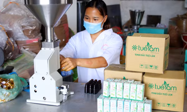Đa dạng sản phẩm thảo dược ở Bình Liêu