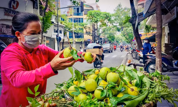 Nồng nàn hương thị vào phố