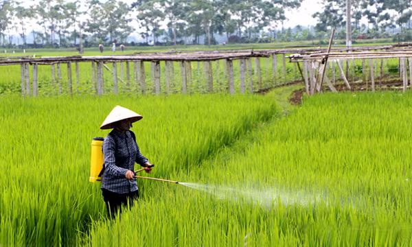 Tập trung bình ổn giá vật tư nông nghiệp