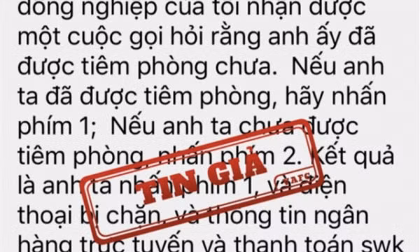 Tin giả về lừa đảo chiếm đoạt thông tin cá nhân trên mạng