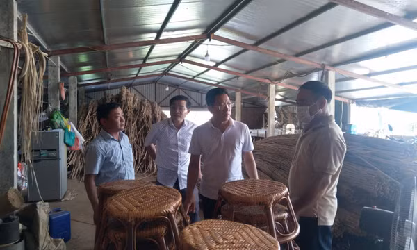 Xây dựng mô hình sản xuất nông sản an toàn, liên kết tiêu thụ sản phẩm