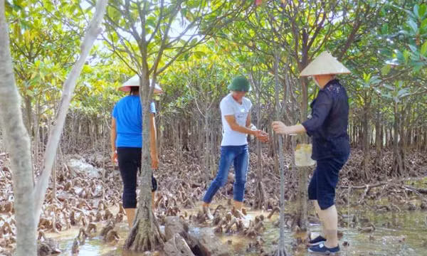 Vì một Quảng Ninh xanh 