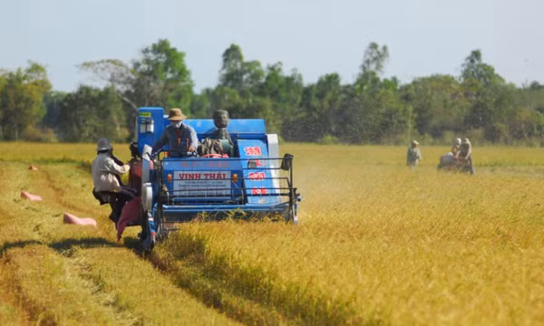 Bình ổn giá vật tư nông nghiệp là nhiệm vụ cấp bách hiện nay