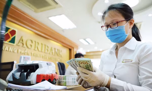 Tạo lập vành đai xử lý nợ xấu