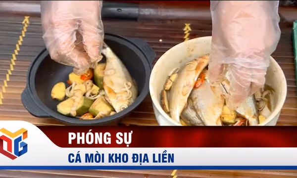 Cá mòi kho địa liền