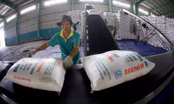 Xuất khẩu không phải là nguyên nhân khiến phân bón trong nước đội giá