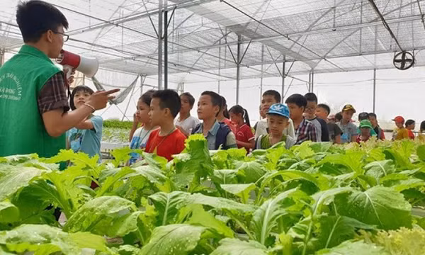 Du lịch nông nghiệp tạo thêm sức sống cho ngoại thành Hà Nội
