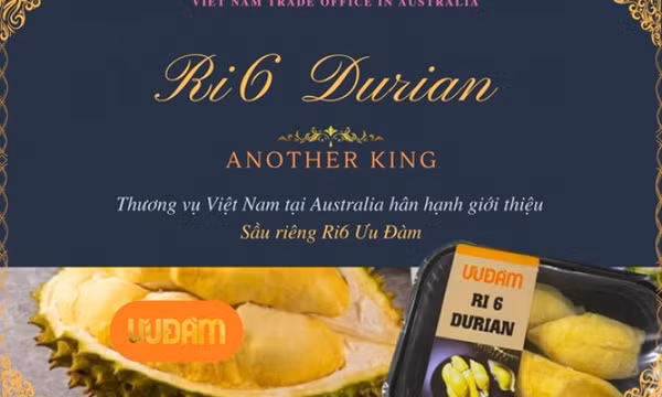 Sầu riêng Ri6 Việt Nam "cháy hàng" tại Australia