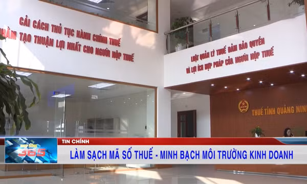 Làm sạch mã số thuế - Minh bạch môi trường kinh doanh