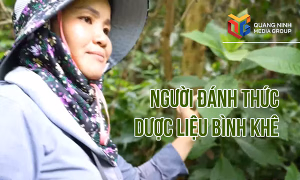 Người đánh thức dược liệu Bình Khê