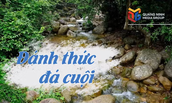 Đánh thức đá cuội