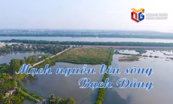 Mạch nguồn bên sông Bạch Đằng