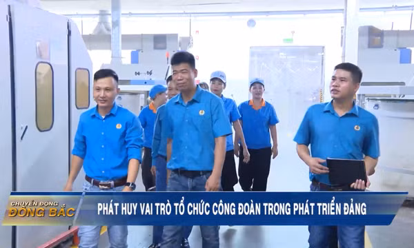 Phát huy vai trò tổ chức công đoàn trong phát triển Đảng