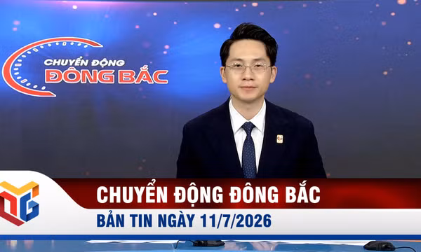 Chuyển động Đông Bắc ngày 11/7/2026