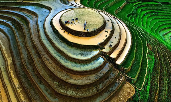 Mãn nhãn cảnh sắc Mù Cang Chải mùa nước đổ