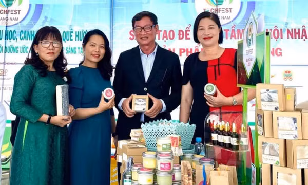 Hỗ trợ phụ nữ khởi nghiệp, thanh niên làm kinh tế